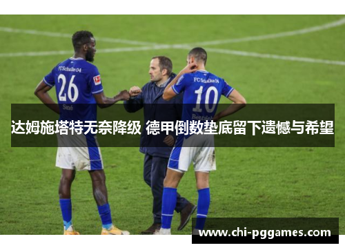 达姆施塔特无奈降级 德甲倒数垫底留下遗憾与希望